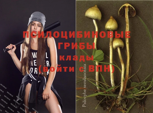 хмурый Балахна