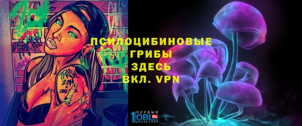 твердый Покровск