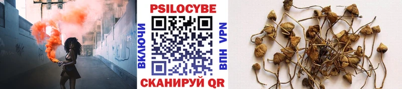 hydra ссылки  купить закладку  Астрахань  Галлюциногенные грибы ЛСД 